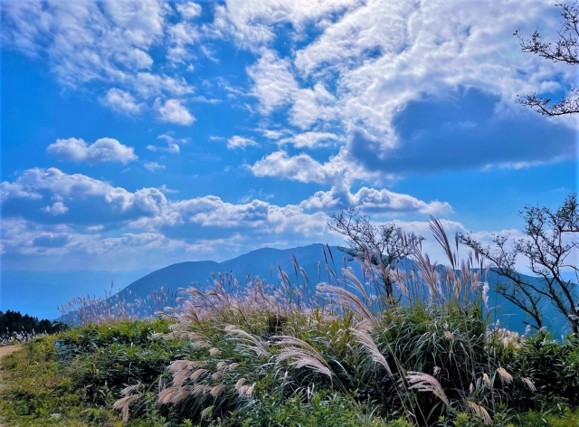 こころみの会をもう一度