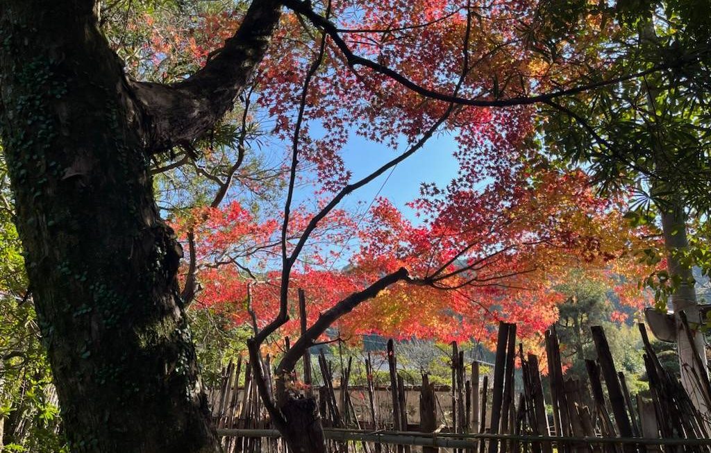 楠森堂の空気感