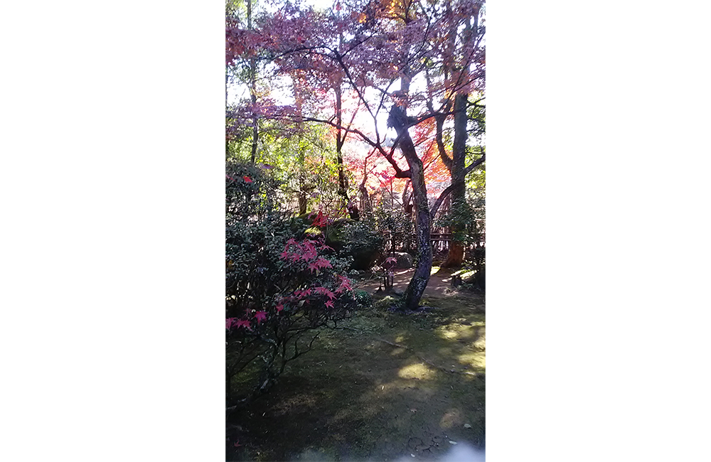 楠森堂の会が終わりました