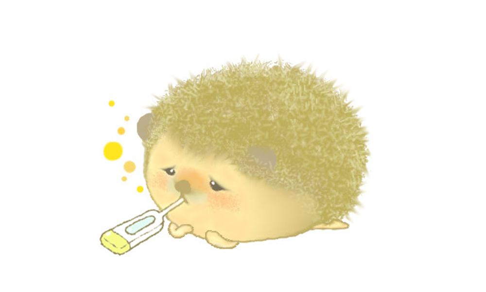 久しぶりの発熱