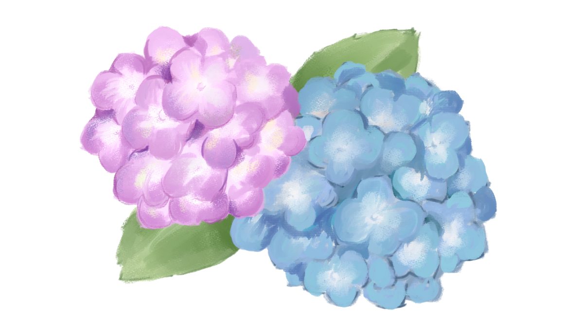 花が開くように